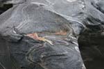 Shelburne_Falls_016a