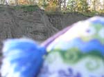 Sugarloaf_011