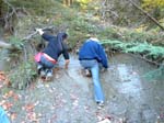 Sugarloaf_003a