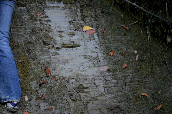 Sugarloaf_012b