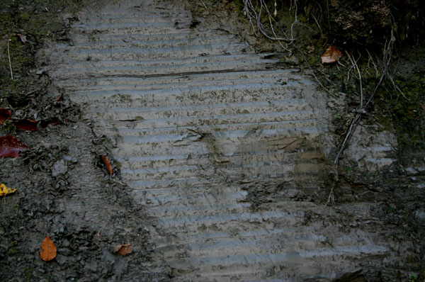 Sugarloaf_013b