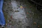 Sugarloaf_012b