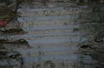 Sugarloaf_015b