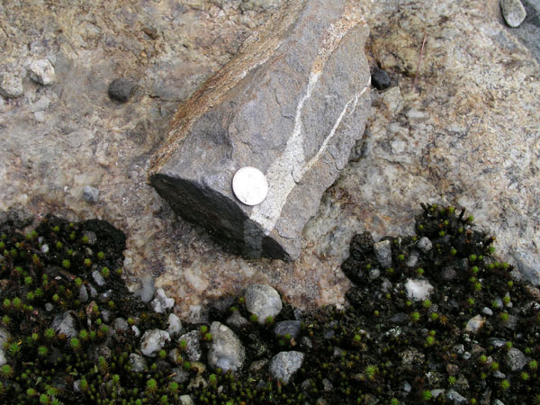 Turkey_Hill_020
