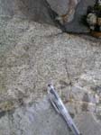 Turkey_Hill_003