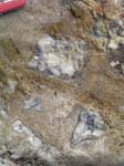 Turkey_Hill_006