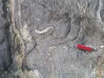 Turkey_Hill_007