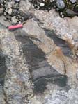 Turkey_Hill_012