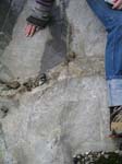 Turkey_Hill_013