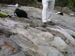 Turkey_Hill_014