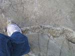 Turkey_Hill_015