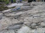 Turkey_Hill_019