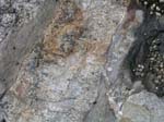 Turkey_Hill_021