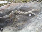 Turkey_Hill_023