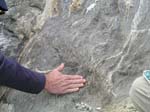 Turkey_Hill_024