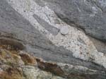 Turkey_Hill_026