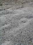 Turkey_Hill_027