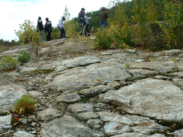 Turkey_Hill_009a