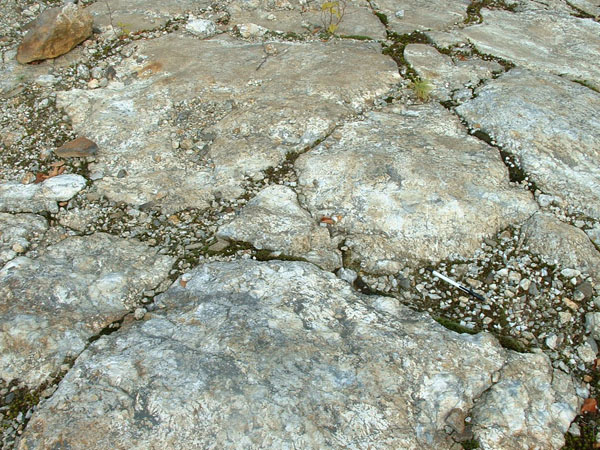 Turkey_Hill_022a