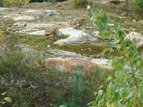 Turkey_Hill_023a