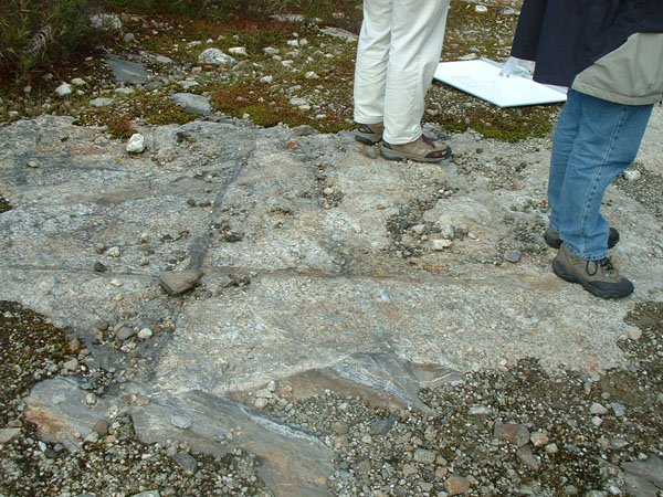 Turkey_Hill_024a