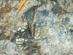 Turkey_Hill_005a
