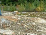 Turkey_Hill_014a