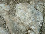Turkey_Hill_021a