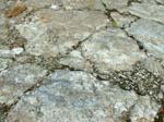 Turkey_Hill_022a
