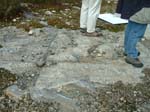 Turkey_Hill_024a