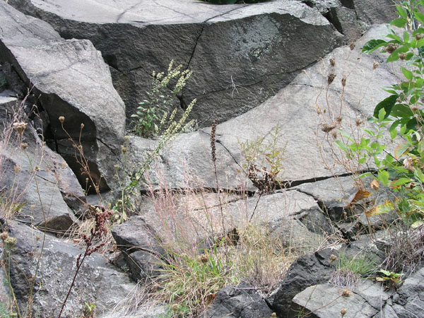 Turners_Falls_009
