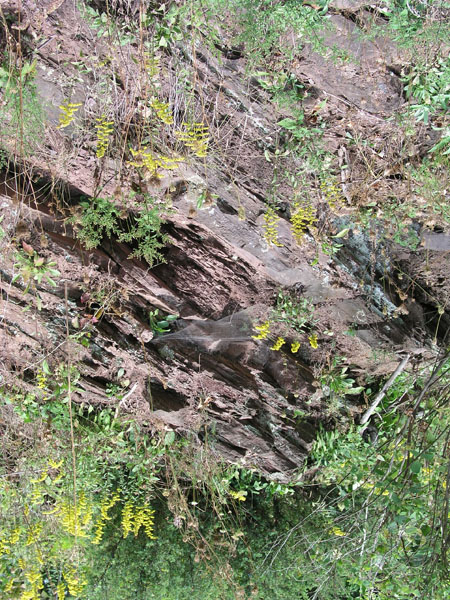 Turners_Falls_011