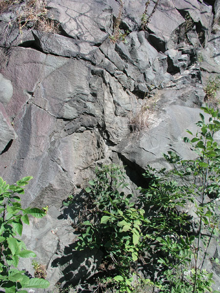Turners_Falls_014