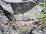Turners_Falls_009