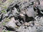 Turners_Falls_012