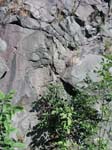Turners_Falls_014