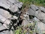 Turners_Falls_015