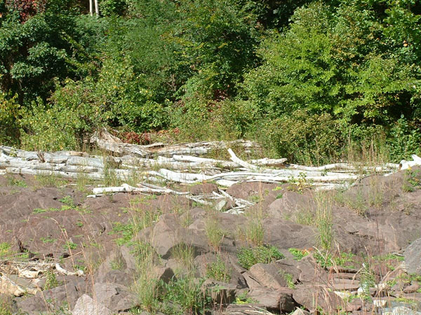 Turners_Falls_029a