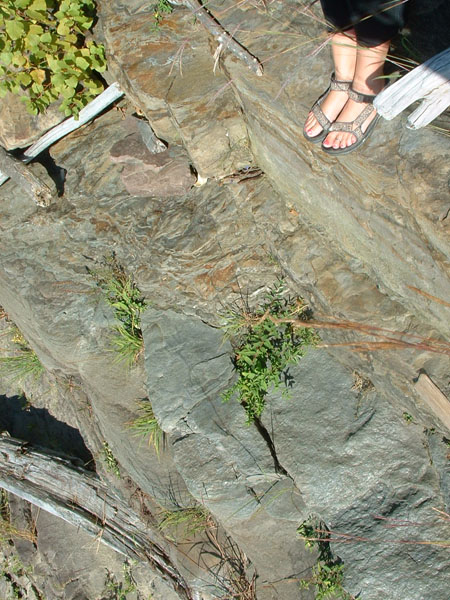 Turners_Falls_031a