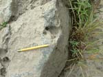 Turners_Falls_011a