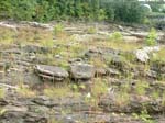 Turners_Falls_018a