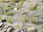 Turners_Falls_019a