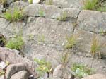 Turners_Falls_020a
