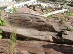 Turners_Falls_026a