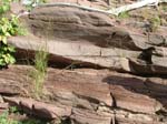 Turners_Falls_027a