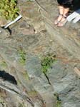 Turners_Falls_031a