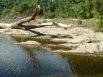 Turners_Falls_032a