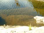 Turners_Falls_033a