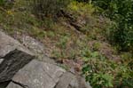 Turners_Falls_008b