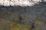 Turners_Falls_016b